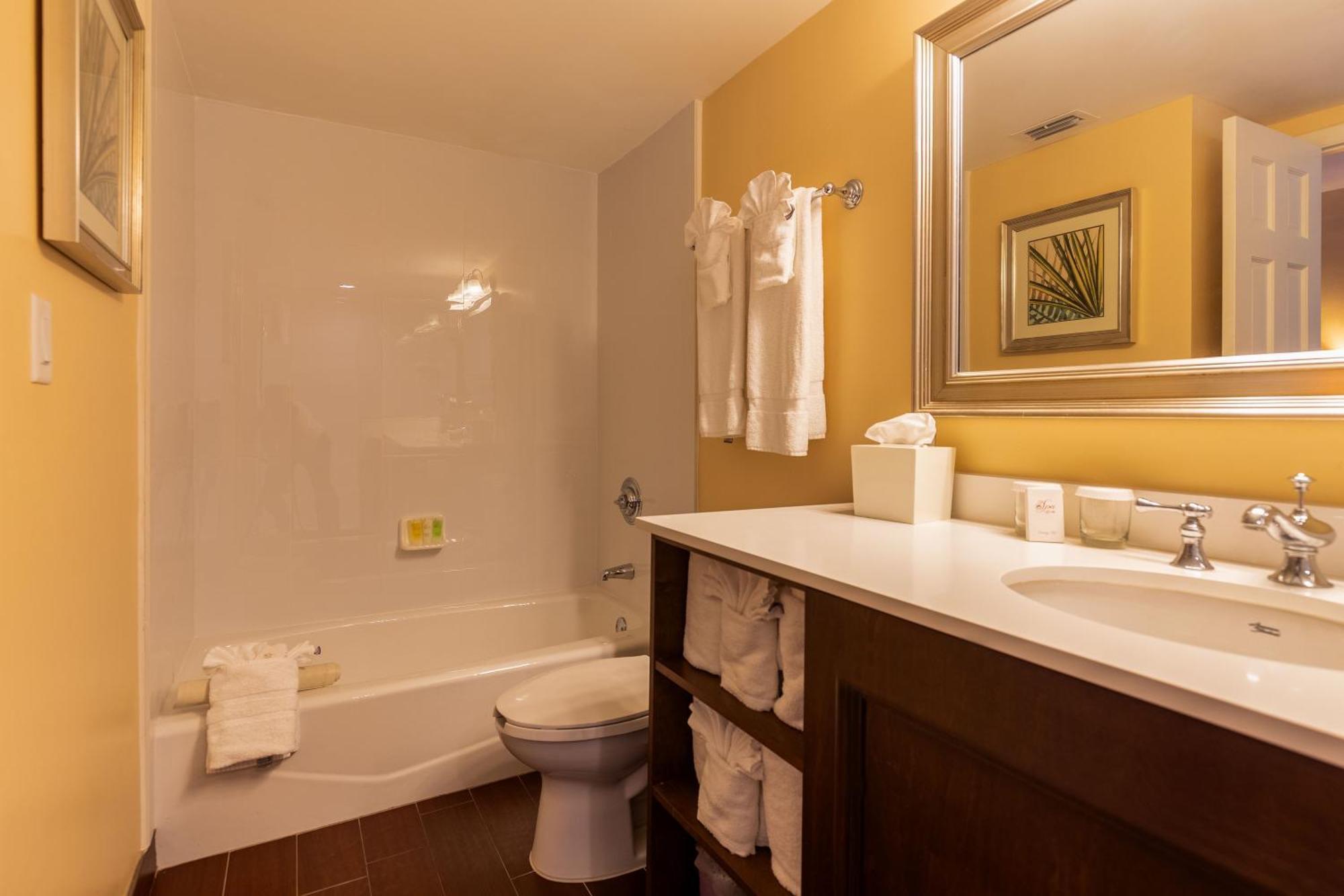 Deluxe One Bedroom Suite