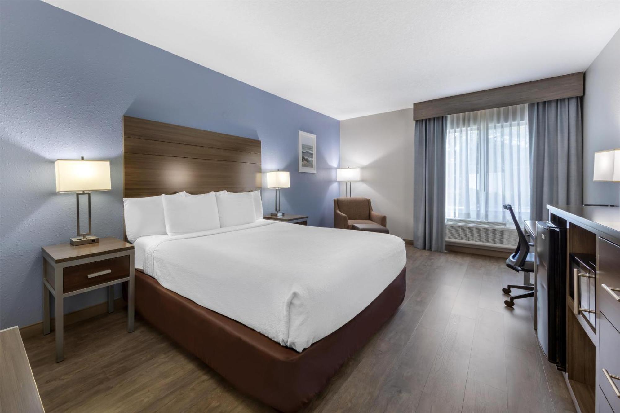 King Room - Non-Smoking